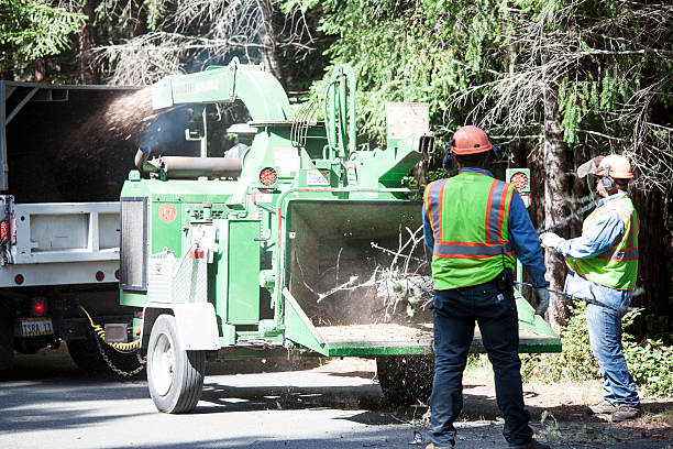 Best Seasonal Cleanup (Spring/Fall)  in Kalkaska, MI